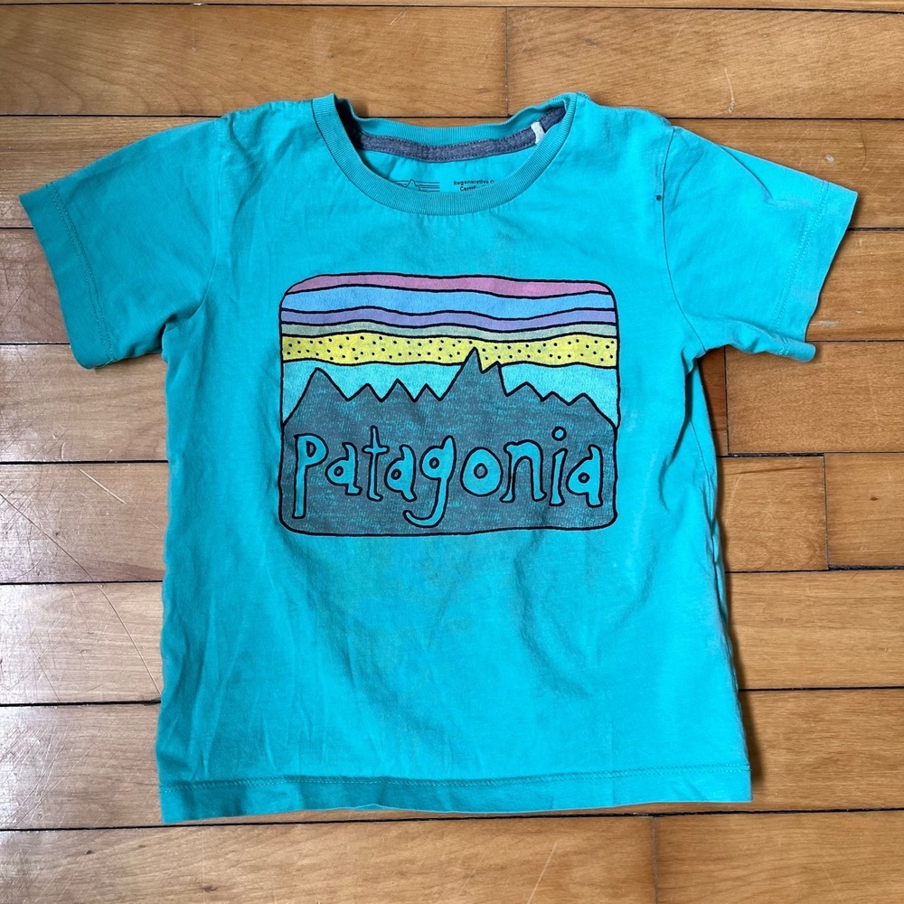 Patagonia Kids Turquoise Mountain Graphic Organic Cotton T-Shirt 3T